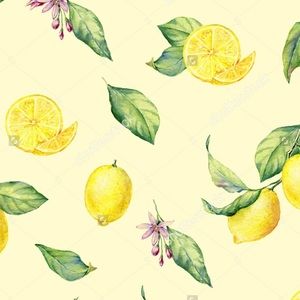 Meet your Posher, Xena